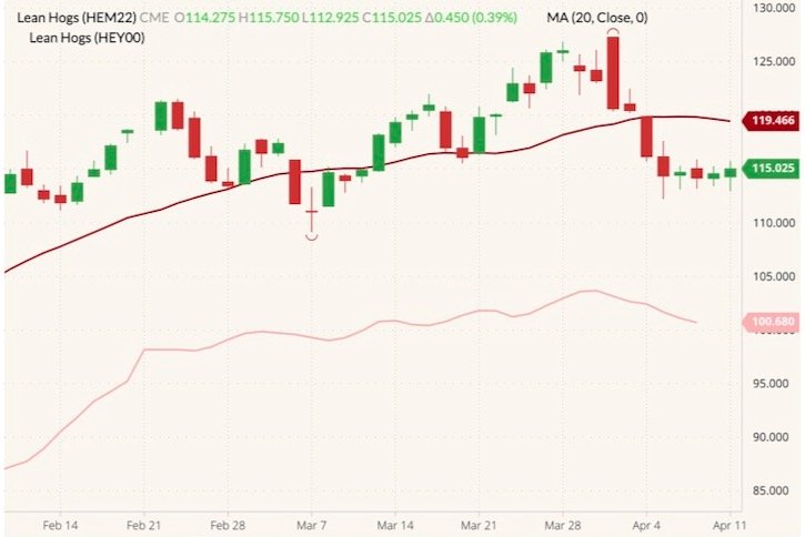 CME June 2022 lean hogs (candlesticks) with 20-day moving average (dark red line) and CME cash lean hog index (pink line). (Barchart)
