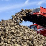 France’s ban on neonicitinoids and subsequent collapse of its sugar beet sector is an example of a failed policy driven by ideology, says Stuart Smyth, associate professor and chair of Agri-Food Innovation and Sustainability Enhancement at the University of Saskatchewan.