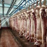 Ontario Pork chair John de Bruyn told producers at the organization’s annual meeting that “sustainable growth of Ontario pork production is contingent on further investment in processing capacity close to home.”