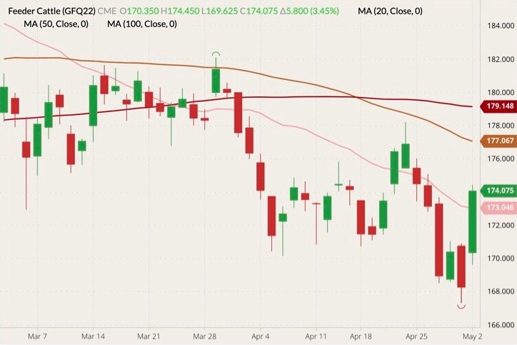CME August 2022 feeder cattle (candlesticks) with 20-, 50- and 100-day moving averages (pink, brown and dark red lines). (Barchart)
