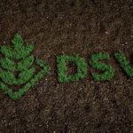 Screengrab from a DSV promotional video. (DSV-seeds.com)