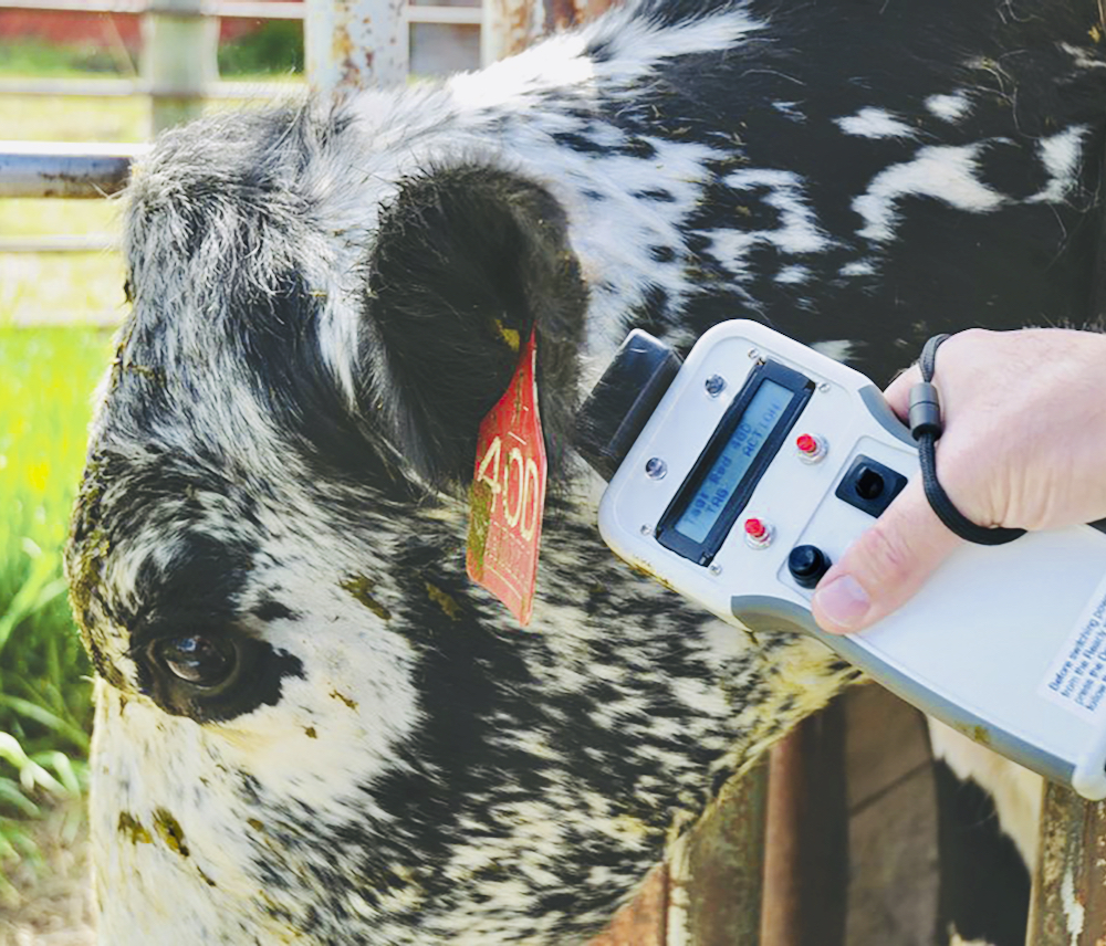 The Flokk hand held transponder reads the electronic ear tag, but also can hold a wide range of information about each animal in the herd.