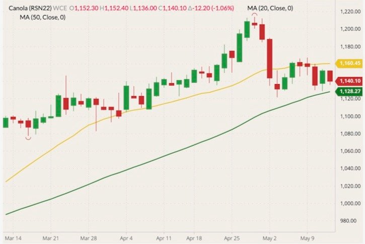 ICE July 2022 canola (candlesticks) with 20- and 50-day moving averages (yellow and green lines). (Barchart)
