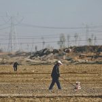 Fertilizer supplies to one of China’s major corn-producing regions have been disrupted by COVID-related transportation restrictions.