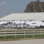 agricultural plastic