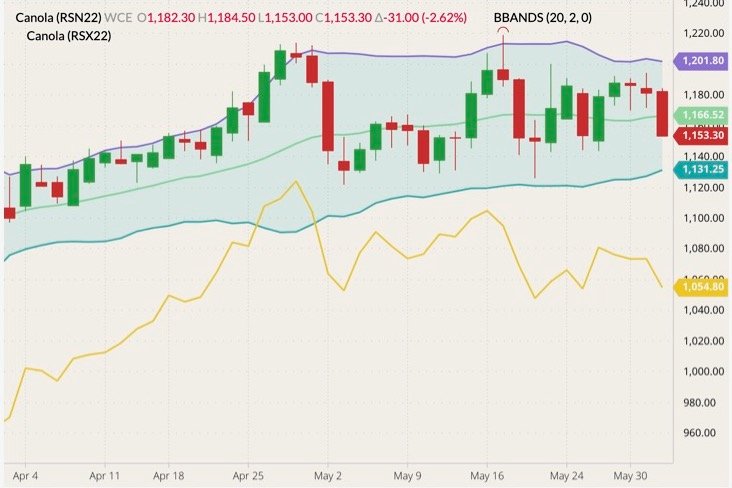 ICE July 2022 canola (candlesticks) with Bollinger bands (20,2) and November 2022 canola (yellow line). (Barchart)
