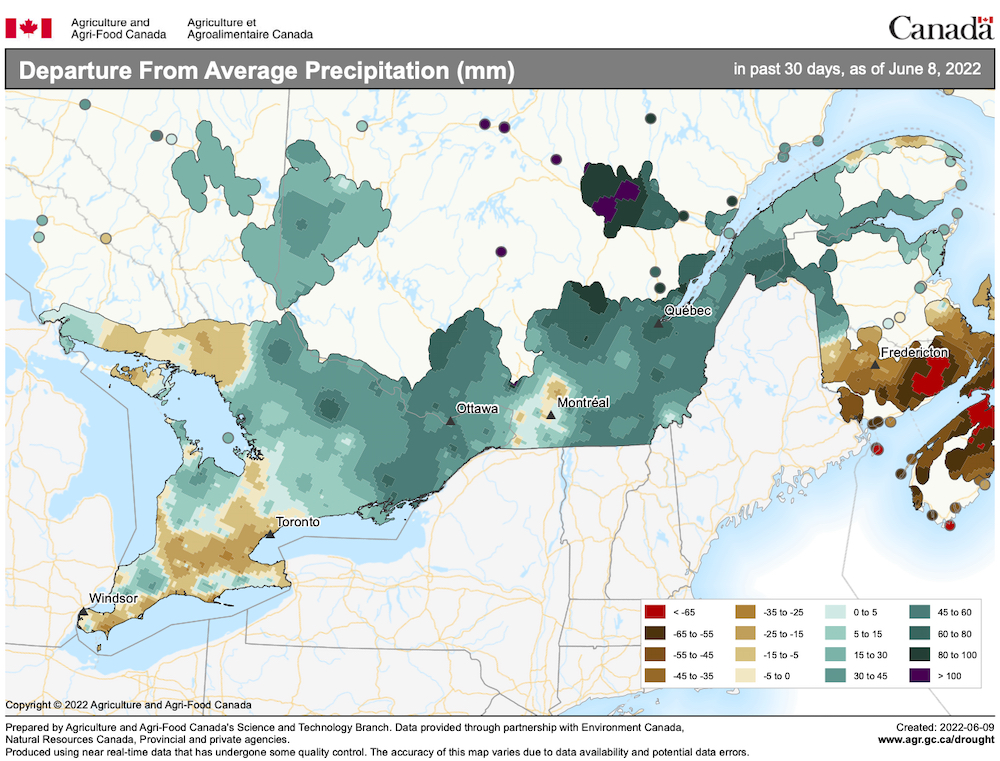 Timely rains support Ontario crops