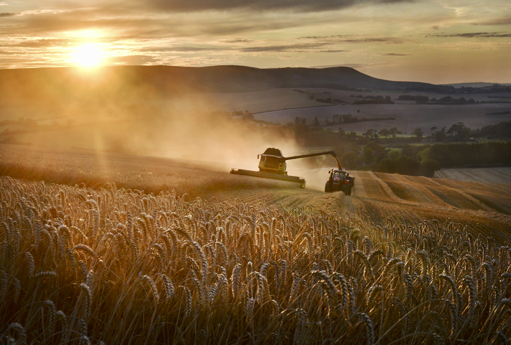 Susie Miller, executive director of the Canadian Roundtable for Sustainable Crops, said more than 600 farmers with whom the organization consulted said they want recognition for action they have taken to reduce emissions and sequester carbon.