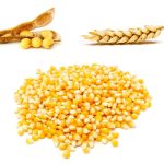 Photo: Thinkstock