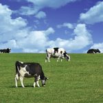 Lactanet asks producers for data to develop methane, metabolic body weight scores.