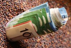 (Photo courtesy Canola Council of Canada)