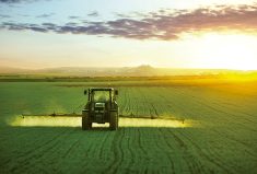 Supply shortages for some herbicides and fungicides leaves U.S. farmers worried about yields and weed pressures in coming years.