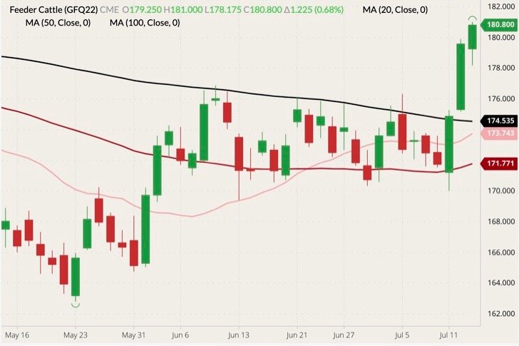 CME August 2022 feeder cattle (candlesticks) with 20-, 50- and 100-day moving averages (pink, red and black lines). (Barchart)
