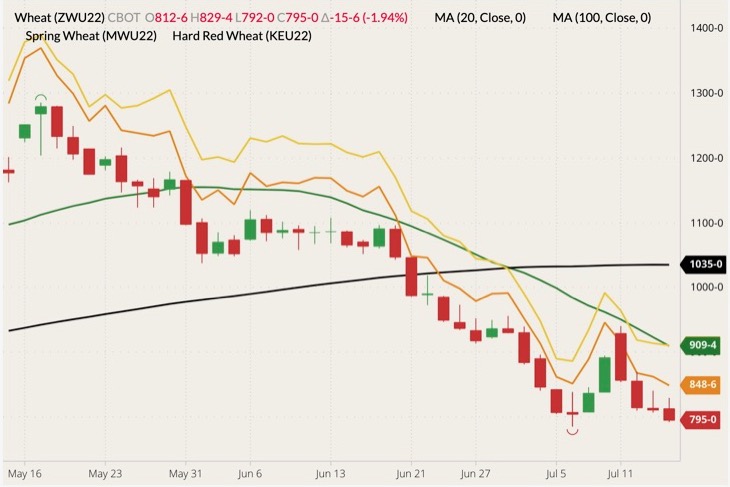 CBOT September 2022 wheat (candlesticks) with 20- and 100-day moving averages (green and black lines), MGEX September 2022 spring wheat (yellow line) and K.C. September 2022 hard red wheat (orange line). (Barchart)
