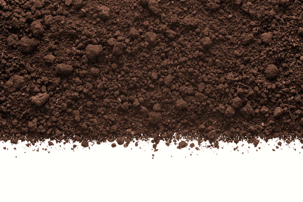 Soil nitrogen dynamics studied