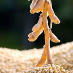 Photo: Thinkstock