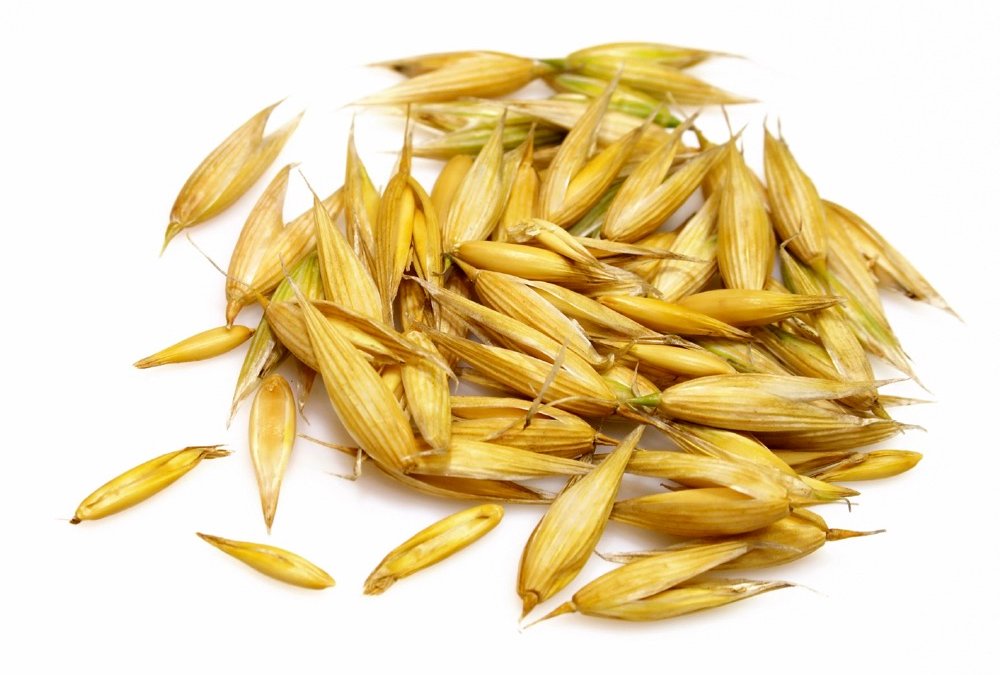 Oat crops topped out at 81 per cent good to excellent in Alberta.  Photo: iStock
