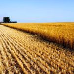 Photo: iStock