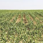 The urge to embrace innovation is a constant for farmers and has transformed agriculture, but there is concern this is not well recognized by the public.