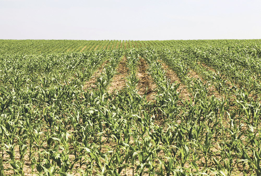 The urge to embrace innovation is a constant for farmers and has transformed agriculture, but there is concern this is not well recognized by the public. 