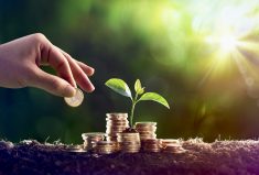 Will tying eco-goals to risk management programs work?