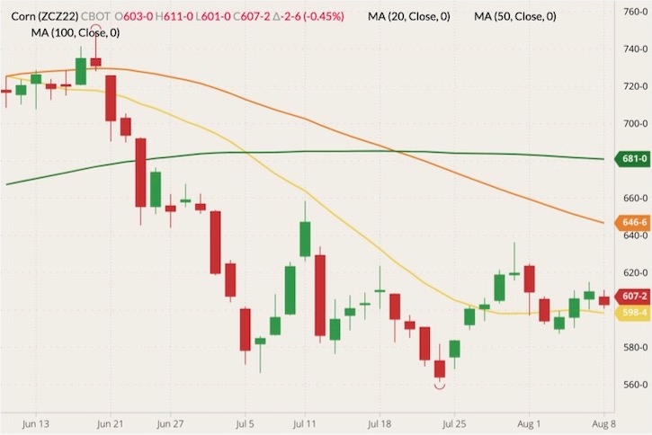 CBOT December 2022 corn (candlesticks) with 20-, 50- and 100-day moving averages (yellow, orange and green lines). (Barchart)
