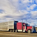 Many agricultural companies need AZ drivers to haul grain, cattle and fertilizer, but insuring younger drivers or those with less than five years experience is becoming cost-prohibitive, if they can get insurance at all.