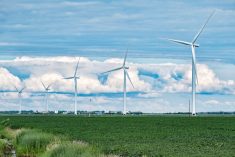 File photo of a field of soybeans under turbines at southern Manitoba’s St. Joseph wind farm. (Dougall_Photography/iStock/Getty Images)