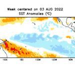 Weekly-average Pacific Ocean surface temperature anomalies for the week centred on Aug. 3, 2022, in degrees Celsius. (CPC.ncep.noaa.gov)