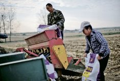 Farmers load sacks of fertilizer into a seeder on a wheat field in China’s Henan province last fall. The government is using inspection certificates and export quotas to keep more fertilizer in the country.