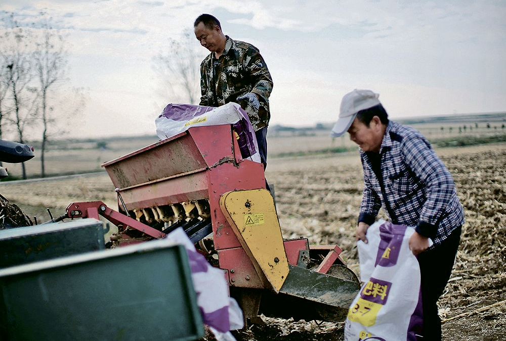 Farmers load sacks of fertilizer into a seeder on a wheat field in China’s Henan province last fall. The government is using inspection certificates and export quotas to keep more fertilizer in the country.