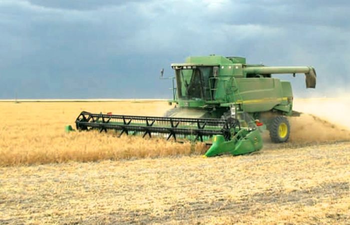 Photo: Saskatchewan Agriculture/File
