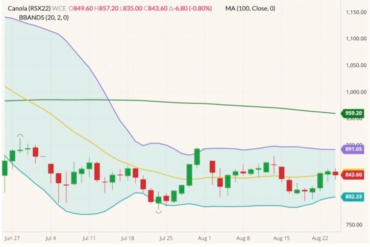 ICE November 2022 canola (candlesticks) with Bollinger bands (20,2) and 100-day moving average (green line). (Barchart)
