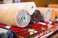 Canada’s International Wool Trade Organization has developed strategic initiatives to rebrand and revalue Canadian wool, which include plans to increase its use in carpeting.