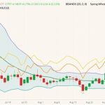 CBOT December 2022 wheat (candlesticks) with Bollinger bands (20,2), MGEX December 2022 spring wheat (yellow line) and K.C. December 2022 hard red wheat (orange line). (Barchart)