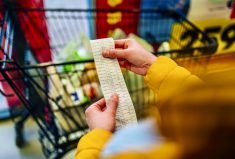 Checking the grocery bill