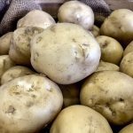 Peter VanderZaag, scientist and private potato breeder at Sunrise Potato, is cautiously optimistic as his SP327 variety, seen here, heads into commercial trial in Manitoba, Ontario, Quebec and China.