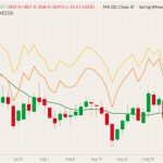 CBOT December 2022 wheat (candlesticks) with 20-day moving average (green line), MGEX December 2022 spring wheat (yellow line) and K.C. December 2022 hard red wheat (orange line). (Barchart)