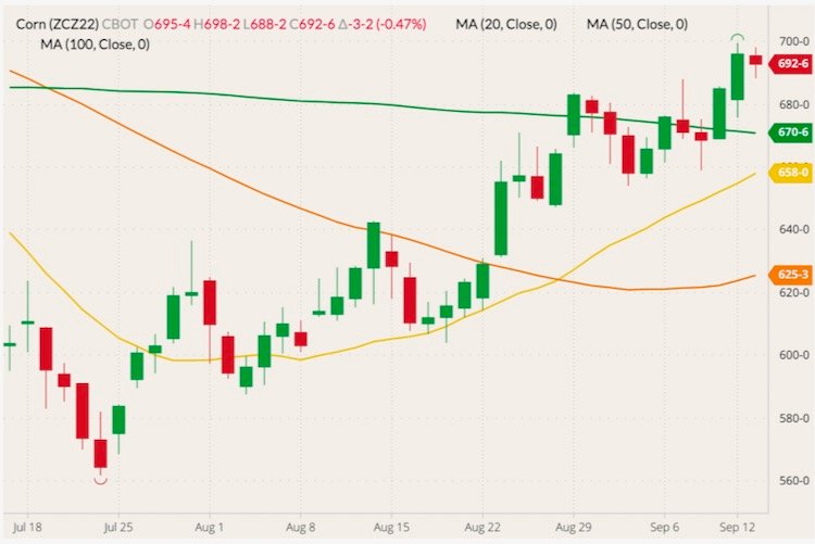 CBOT December 2022 corn (candlesticks) with 20-, 50- and 100-day moving averages (yellow, orange and green lines). (Barchart)
