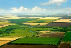 The change in farm size distribution has several crucial implications.