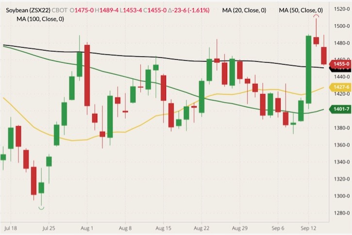 CBOT November 2022 soybeans (candlesticks) with 20-, 50- and 100-day moving averages (yellow, green and black lines). (Barchart)
