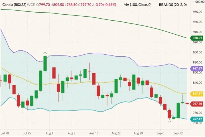 ICE November 2022 canola (candlesticks) with 100-day moving average (green line) and Bollinger bands (20,2). (Barchart)
