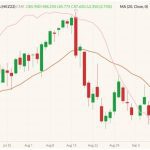CME December 2022 lean hogs (candlesticks, right column) with 20-day moving average (brown line) and CME cash lean hog index (pink line, left column). (Barchart)