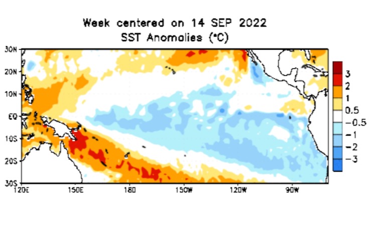 Pacific Ocean sea surface temperature anomalies (in degrees Celsius) for the week centred on Sept. 14, 2022. (CPC.ncep.noaa.gov)
