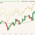 CBOT December 2022 soft red winter wheat (candlesticks) with 20-day moving average (green line), MGEX December 2022 hard red spring wheat (yellow line) and K.C. December 2022 hard red winter wheat (orange line). (Barchart)