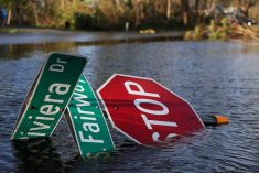 After Hurricane Ian made landfall in southwestern Florida, a street sign lies in flood waters at Punta Gorda, about 40 km north of Fort Myers, on Sept. 29, 2022. (Photo: Reuters/Shannon Stapleton)