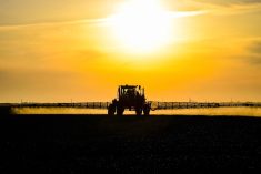 (Leonid Eremeychuk/iStock/Getty Images)