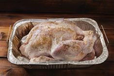 (Lauri Patterson/iStock/Getty Images)
