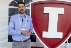 VIDEO: Improving immunity in dairy cows