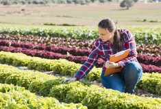 The EU’s CAP plans support the transition to sustainable agriculture, and one key target is to have one-quarter of the EU’s farmland certified organic by 2030.